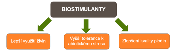 3 základní funkce rostlinných biostimulantů