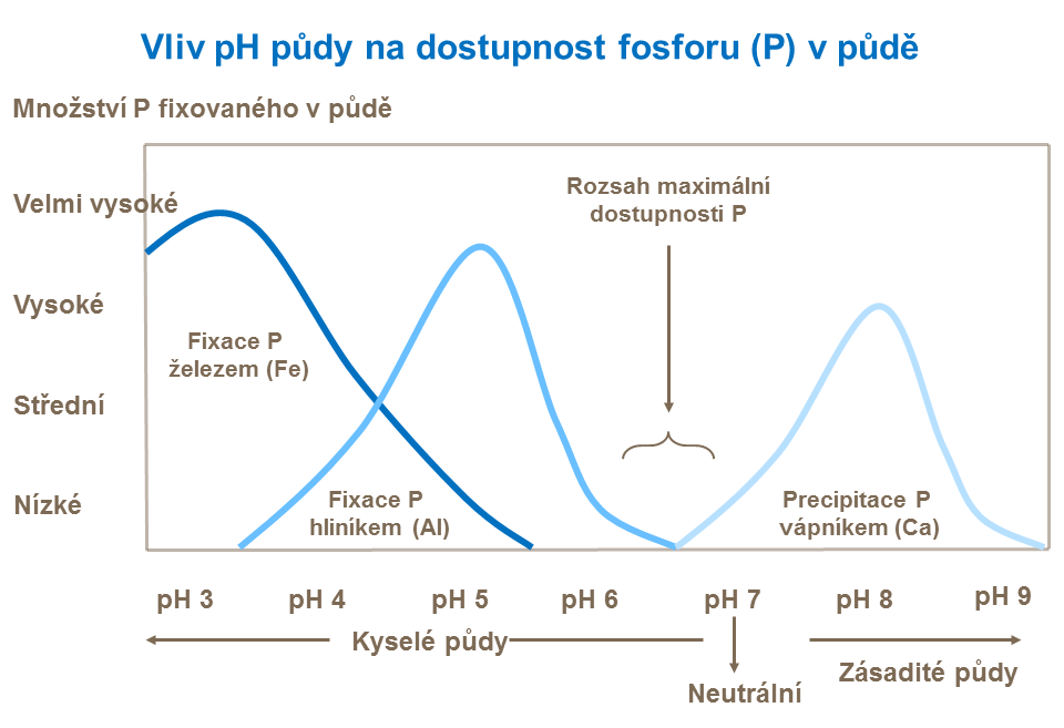 Vliv pH půdy na dostupnost fosforu (P) v půdě