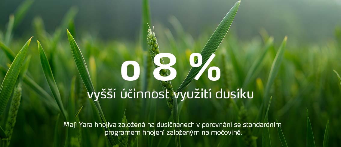 8% higher nitrogen-use efficiency