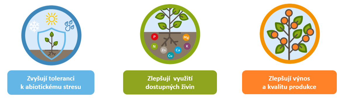 Výhody biostimulantů