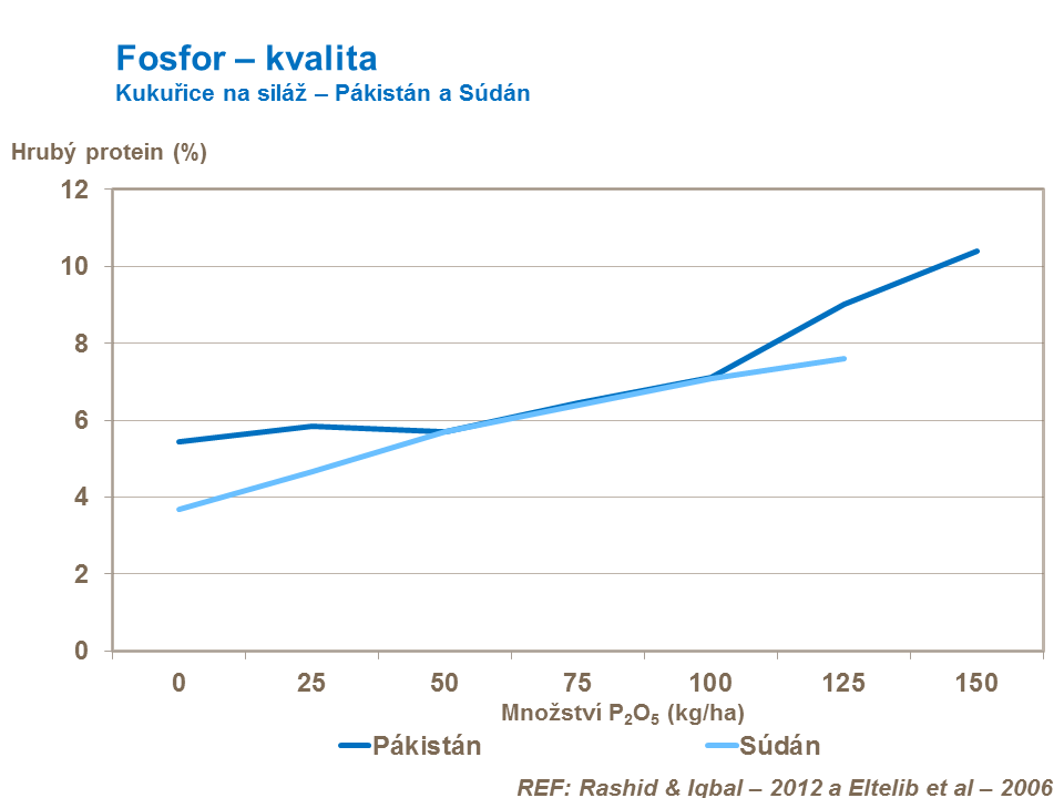 Fosfor – kvalita kukuřice na siláž 