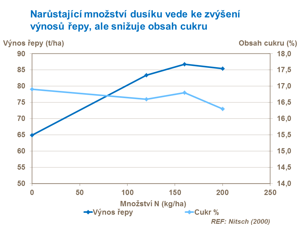Narůstající množství dusíku vede ke zvýšení výnosů řepy, ale snižuje obsah cukru. 