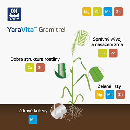 Hořčík a zdravém listy rostliny - YaraVita Gramitrel