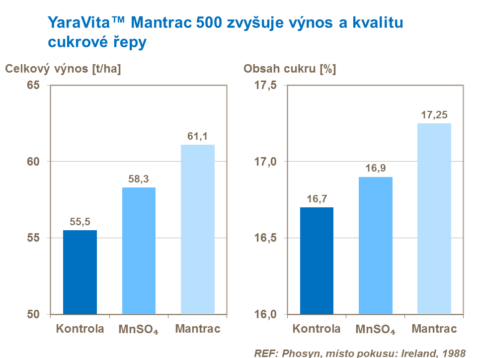 YaraVita MANTRAC 500 zvyšuje výnos a kvalitu cukrové řepy