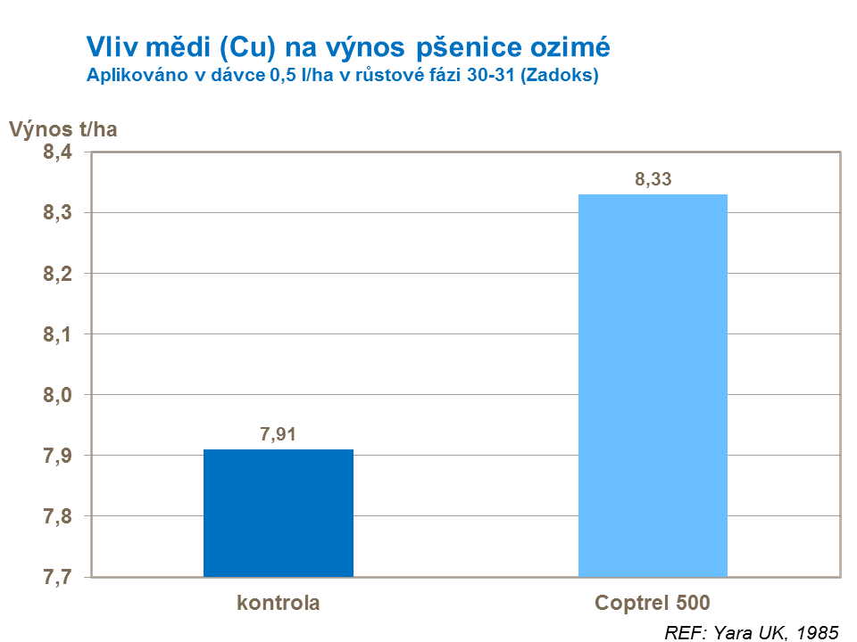 Vliv mědi na výnos pšenice ozimé