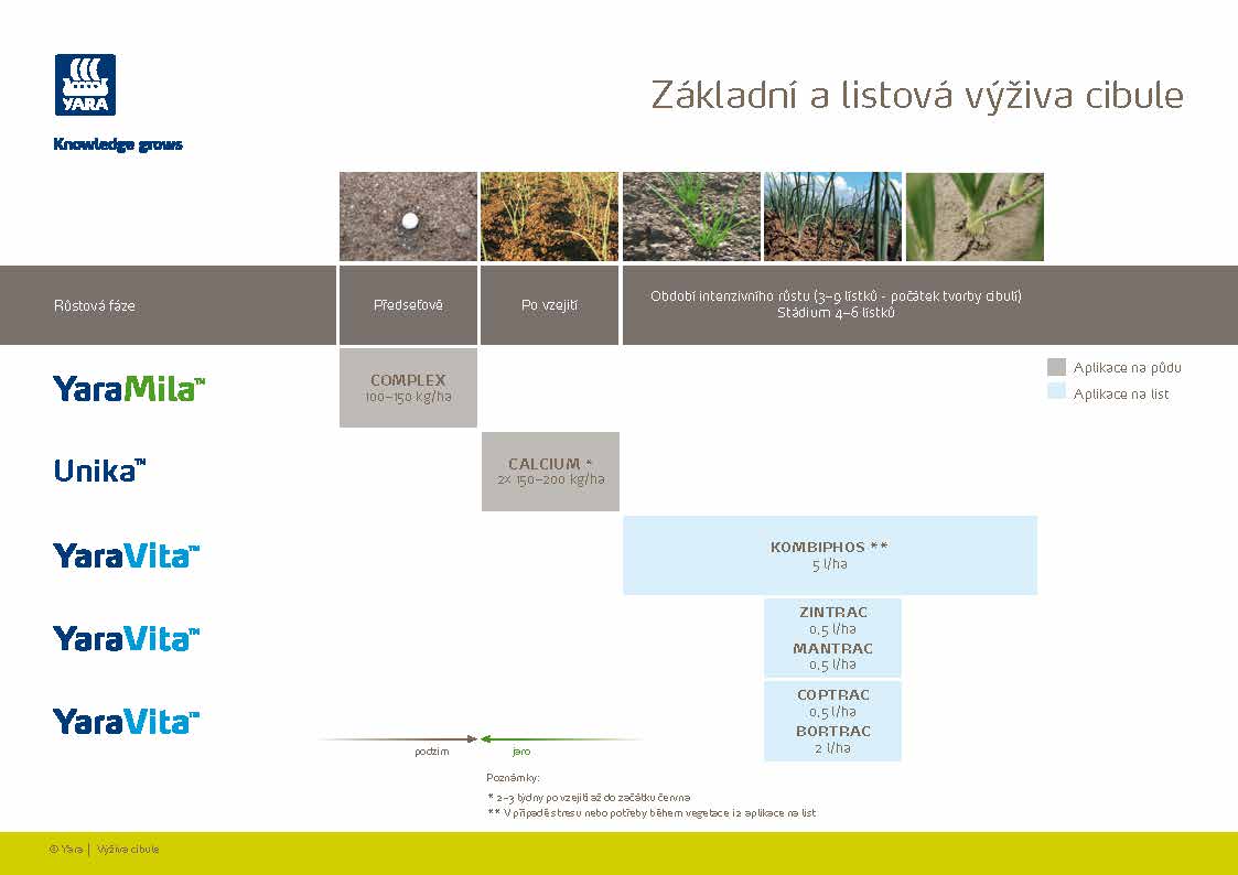 Yara - Program výživy cibule