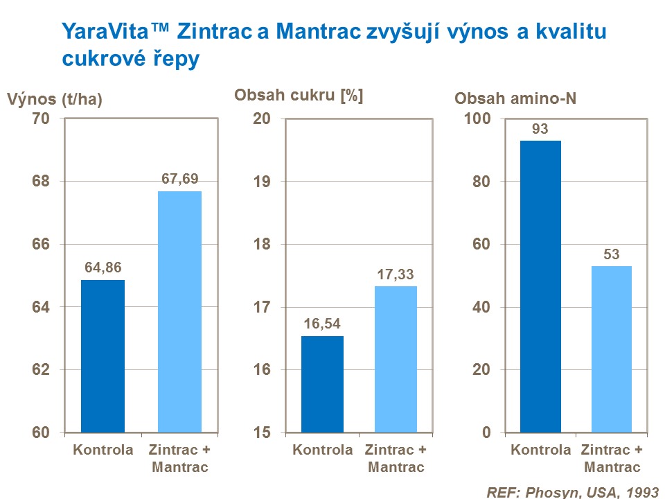 Tato studie z USA opět ukazuje na vliv manganu na zvýšení výnosu a obsahu cukru a naopak sníže obsahu amino-N v cukrové řepě.