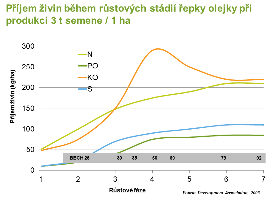 Příjem živin během růstu řepky