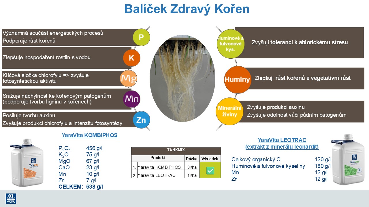Synergie působení listového hnojiva YaraVita a biostimulantu