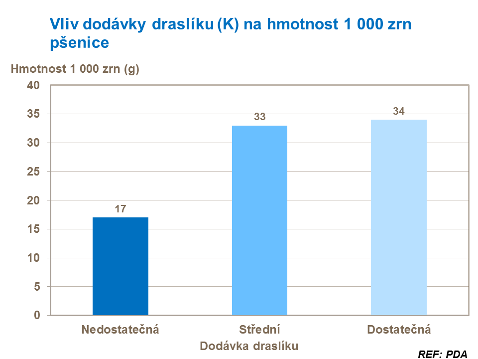 Vliv dodávky draslíku na hmotnost 1000 zrn (HTZ) u pšenice.
