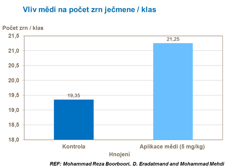 Vliv mědi na počet zrn ječmene / klas