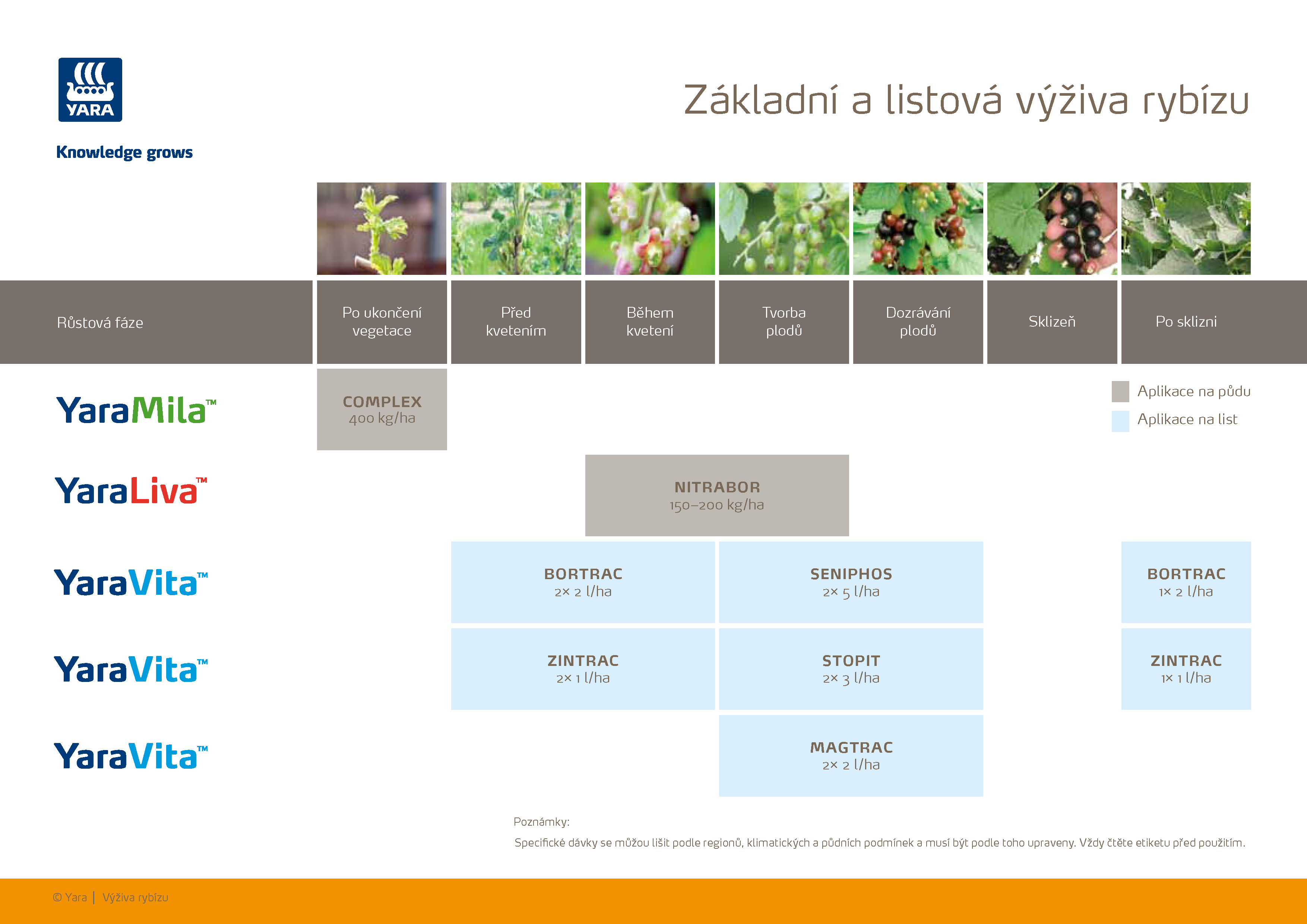 Yara - Program výživy rybízu