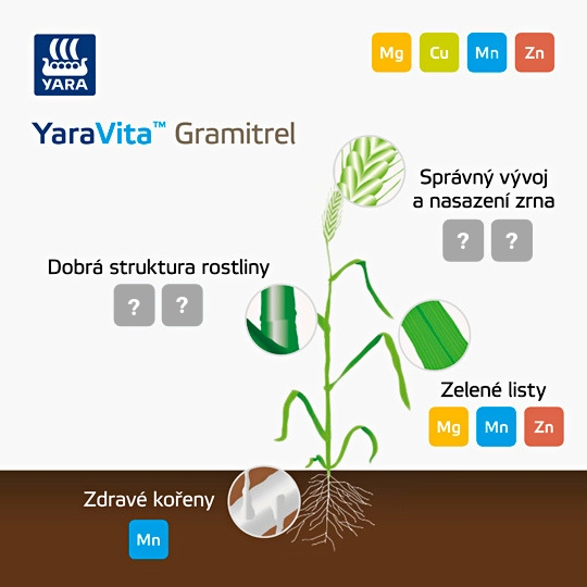 Hořčík a zdravém listy rostliny - YaraVita Gramitrel