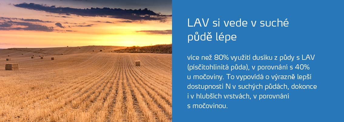 CAN peforms better in dry soils image